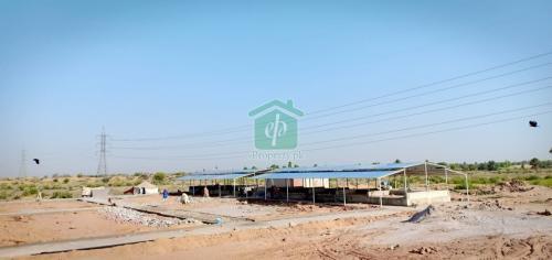 Sunday Bazaar at DHA Bahawalpur